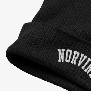 Organic Ribbed Beanie Accessoire - Norvine