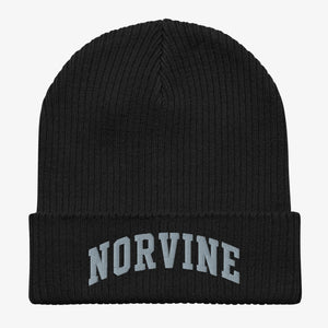 Organic Ribbed Beanie Accessoire - Norvine