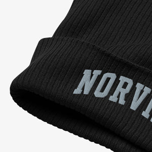 Organic Ribbed Beanie Accessoire - Norvine